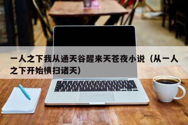 一人之下我从通天谷醒来天苍夜小说（从一人之下开始横扫诸天）
