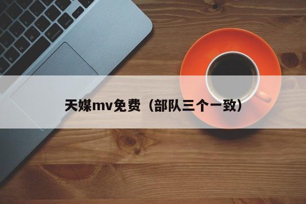 天媒mv免费（部队三个一致）