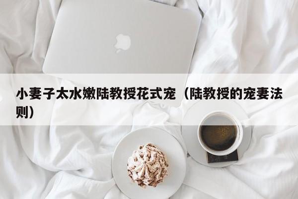 小妻子太水嫩陆教授花式宠（陆教授的宠妻法则）