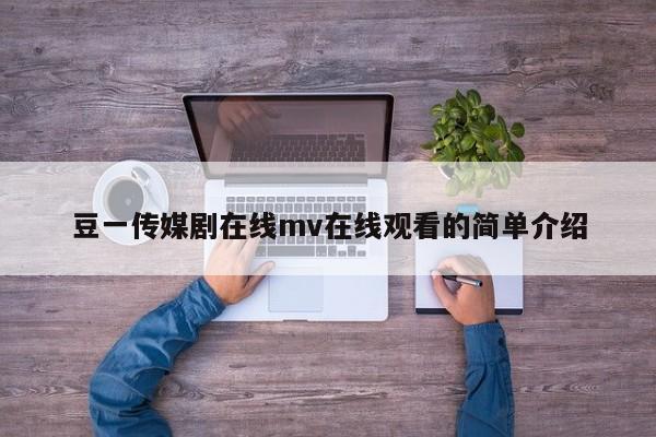 豆一传媒剧在线mv在线观看的简单介绍